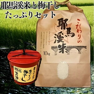 yӂ邳Ɣ[ŁznĂƔ~ՂZbg 10kg ̂Ȃ̎Â~1.3kg |       nk  ͂ ~ ~  Zbg 啪 Îs