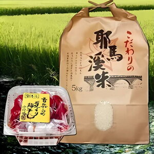 yӂ邳Ɣ[ŁznkĂƐ̂Ȃ̔~Zbg  5kg qmqJ ЂƂ߂ڂ̂ꂩ ~1kg |       nk  ͂ ~ ~  Z