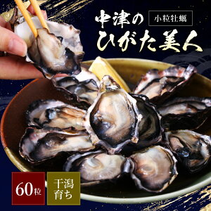 yӂ邳Ɣ[ŁzyԌzЂl (y 60) \Zbg | {B ①  ICX^[ ̍ ܂  啪Y BY Y 啪 Îs y͗ߘa7N12`ߘa