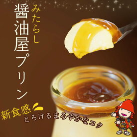 【ふるさと納税】みたらし醤油屋プリン 100g×6個 濃厚な味わい 窯蒸しプリン 完熟醤油 みたらし 和風プリン スイーツ 和スイーツ プリン 大分県 中津市 送料無料／熨斗対応可 お歳暮 お中元 など