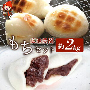yӂ邳Ɣ[ŁzyԁEʌzLr_Zbg 2kg Ⓚ500g×2 Ⓚ6×2 |   Zbg 2kg 2L     n 啪Y 