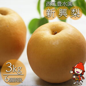 yӂ邳Ɣ[Łz]L̐V 3kg ( 6O ) | t[c ʕ  ʎ ʌ { n  Ȃ iV V V a 3kg 3L VN Yn 啪Y BY Y 啪
