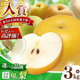 【ふるさと納税】西江豊水園の旬の梨 選べる 品種 約3kg | フルーツ 果物 くだもの 果実 数量限定 梨 なし 喜水梨 幸水梨 豊水梨 菊水梨 新興梨 かおり梨 和梨 3kg 3キロ 新鮮 産地直送 大分県産 九州産 国産 大分県 中津市【発送は2026年7月～9月頃までの予定】
