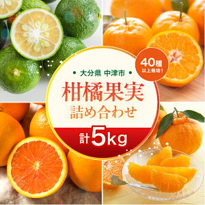 【ふるさと納税】【期間限定】おはら果樹園果実詰め合わせ 約5kg | フルーツ 果物 くだもの 果実 柑橘 柑橘類 セット 詰め合わせ ( みかん ポンカン はるみ 不知火 等) おはら果樹園 産地直送