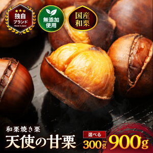 �y�ӂ邳�Ɣ[�Łz�y��s�\��z�V�g�̊ÌI �a�I�Ă��I �I�ׂ���e�� 300g / 600g / 900g | �I �ÌI ���Y�a�I ���R�̊Â� ���Y������� �Ă��I �₳�����Â� �啪�� ���Îs�y2026�N10����菇������