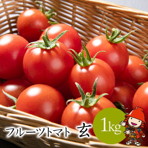 yӂ邳Ɣ[ŁzyԌzt[cg}g  1kg×1 | ~jg}g ՂƂ܂ v`g}g teBJ ~fBg}g Y 啪ÎY B 啪 Îs