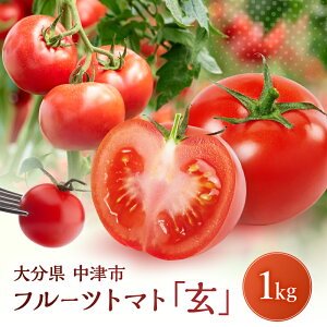 yӂ邳Ɣ[ŁzyԌzt[cg}g  1kg×1 | ~jg}g ՂƂ܂ v`g}g teBJ ~fBg}g Y 啪ÎY B 啪 Îs