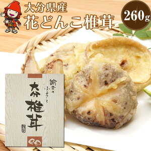 yӂ邳Ɣ[Łzō 啪Y Ԃǂ񂱒ő 260g | ő  ؒő  VC^P BY Îs Y 