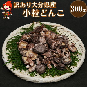 yӂ邳Ɣ[Łző Y 󂠂 ǂ 300g |  ő ő   VC^P   啪Y B Yn BY Îs 