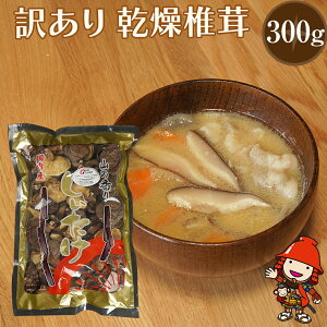 yӂ邳Ɣ[Łző p 󂠂 ő 300g  ő   VC^P  啪Y BY Îs Y 