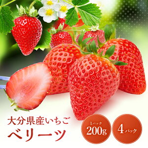 yӂ邳Ɣ[Łzys\EԌz啪uh  x[c  800g ( 200g×4pbN ) |  C`S  x[ t[c ʕ  啪Y Yn BY Y 啪 