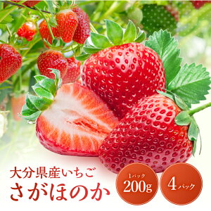 【ふるさと納税】【先行予約・期間限定】大分県産いちご さがほのか 約 800g ( 200g×4パック ) | 苺 イチゴ いちご ベリー フルーツ 果物 くだもの 九州産 大分県産 国産 産地直送 大分県 中津市
