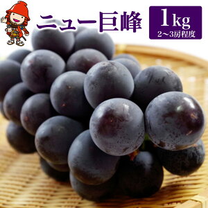 yӂ邳Ɣ[Łzyʌz{ʎό̃j[ 1kg Ԃǂ 2`3[ | t[c ʕ  uhE   j[ Yn 啪 Îs y2025N85