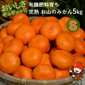 yӂ邳Ɣ[Łzys\zyʌzv۔_̗L@엿炿n R݂̂ 5kg(S)+3 (ݕ⏞) | t[c ʕ   ~J ݂ k k B݂ Yn