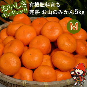 【ふるさと納税】【先行予約】【数量限定】大久保農場の有機肥料育ち完熟 お山のみかん 5kg(M)+3個 (傷み補償分) | フルーツ 果物 くだもの 蜜柑 ミカン みかん 柑橘 柑橘類 温州みかん 産地直