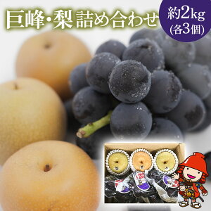 yӂ邳Ɣ[Łzys\zxvgp E lߍ킹 2kg (3A3) | uhE Ԃǂ  ʕ t[c  Mtg v[g i 啪Y BY Îs 