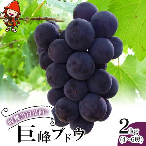 yӂ邳Ɣ[ŁzuhE 2kg (4`6[) | 킠 uhE Ԃǂ ʕ t[c  Yn Â 啪Y BY Îs Y yF2025N8{`9{܂ł̗\