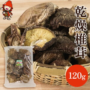 yӂ邳Ɣ[Łző 120g | ̂ LmR  VC^P ő ؍͔|  ő   VC^P 啪Y BY Y 啪 Îsy
