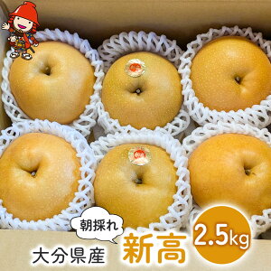 yӂ邳Ɣ[Łz啪Y V 2.5kg (6`7) | 킫_  Ȃ VN Yn ʌ ʕ  t[c Mtg 啪Y BY 啪 Îs y2025N9{