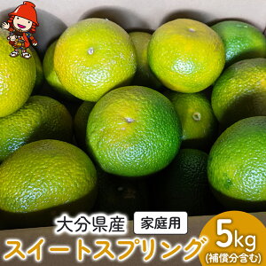 yӂ邳Ɣ[Łz啪Y XC[gXvO 5kg (⏞܂) | 킫_ k k ~J ݂ B݂  ͂ ƒp ʌ Yn ʕ  t[c Mt