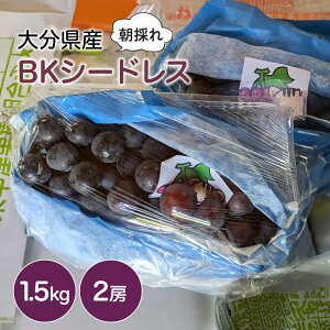 yӂ邳Ɣ[ŁzBKV[hX  1.5kg ( 2[ ) | 킫_  Ԃǂ uhE VN Yn ʕ  t[c ̂ 啪Y BY 啪 Îsy2025N8{`2025N10
