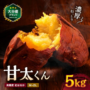 yӂ邳Ɣ[Łzys\EԌz啪Y 񂵂 Ñ  5kg MELE2L | ܂ ܈ Tc}C   g͂邩 ׂɂ͂邩 Ă  uh BY Y 