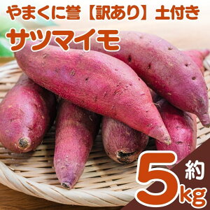 【ふるさと納税】 やまくに誉サツマイモ【訳あり】土付き 5キロ | サツマイモ さつまいも 5キロ 九州産 大分県 中津市