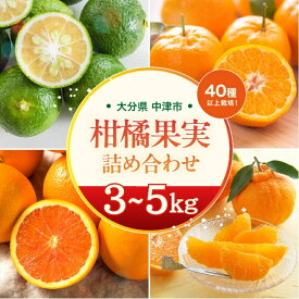 【ふるさと納税】【期間限定】おはら果樹園果実詰め合わせ 3~5kg | フルーツ 果物 くだもの 果実 柑橘 柑橘類 セット 詰め合わせ ( みかん ポンカン はるみ 不知火 等) おはら果樹園 産地直送 大分県 中津市 送料無料【発送は2025年12月中旬～2026年3月中旬頃までの予定】