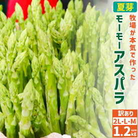 【ふるさと納税】モーモーアスパラ B品 家庭で手頃に！3種食べ比べ 2L L M 6束 合計約1.2kg アスパラガス アスパラ やさい 野菜 サラダ スープ パスタ 料理 食べ物 食品 お取り寄せ 酪農牧場 本川牧場 大分県 日田市 送料無料 【2024年6月下旬より発送開始】