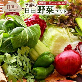 【ふるさと納税】 【定期便1年コース】 季節の日田野菜セット 1箱 計12回 12か月 旬 大分産 詰め合わせ 送料無料