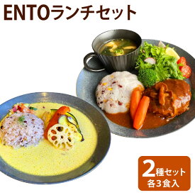 B-50【ふるさと納税】ENTOランチセット 6食分 2種類×3個 ハンバーグ カレー グリーンカレー 惣菜 簡単 冷凍 日田市 大分県 送料無料