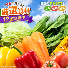 【ふるさと納税】【全12回定期便】農家セレクト！特別栽培 日田の厳選食材 詰め合わせ 日田市 / 自然工房Mori 野菜 果物 米 産地直送 新鮮 セット　野菜 米 くだもの [ARBR002]