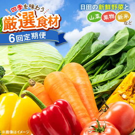 【ふるさと納税】【全6回定期便】農家セレクト！特別栽培 日田の厳選食材 詰め合わせ 日田市 / 自然工房Mori 野菜 果物 米 産地直送 新鮮 セット　野菜 米 くだもの [ARBR003]