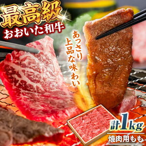 yӂ邳Ɣ[Łza ēp 1kg a   啪  ɂ jN   Y SĂ ґ LO fBi[ Ⓚ a L㋍ Ԃ Ă ē BBQ 