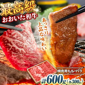 【ふるさと納税】おおいた和牛 もも・バラ焼肉セット 600g(各300g) 　日田市 / 株式会社まるひで 和牛 BBQ 国産ブランド牛[ARCG013]