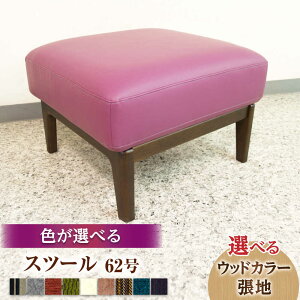 yӂ邳Ɣ[Łz啪Y Xc[ 62 (50cm s60cm 40cm) cs / ЃATq ֎q@Xc[  CX[ARDD048]