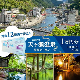 【ふるさと納税】天ヶ瀬温泉旅行クーポン「1万円分」 日田市 / 天ヶ瀬温泉旅館組合 旅行券 温泉 トラベル おんせん[ARDR001]