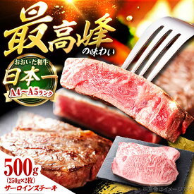 【ふるさと納税】おおいた和牛 サーロインステーキ 500g (250g×2枚) 日田市 / 株式会社OTOGINO　牛肉 和牛 にく [AREF128]