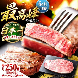 yӂ邳Ɣ[ŁzyS6ցza T[CXe[L 250g (250g×1) cs / OTOGINO@ a ɂ [AREF135]