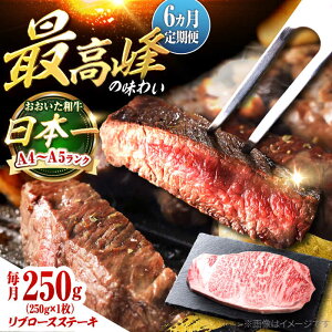 yӂ邳Ɣ[ŁzyS6ցza@u[XXe[L 250g(250g×1) cs / OTOGINO@ a ɂ [AREF137]