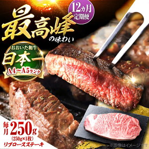 yӂ邳Ɣ[ŁzyS12ցza u[XXe[L 250g(250g×1) cs / OTOGINO@ a ɂ [AREF141]