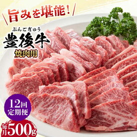 【ふるさと納税】【全12回定期便】おおいた豊後牛 焼肉用 500g 日田市 / 株式会社MEAT PLUS　牛 うし 黒毛和牛 和牛 豊後牛[AREI100]