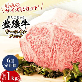 【ふるさと納税】【全6回定期便】【厳選部位】おおいた豊後牛 サーロイン ブロック 1kg 日田市 / 株式会社MEAT PLUS　牛 うし 黒毛和牛 和牛 豊後牛[AREI105]