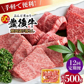 【ふるさと納税】【全12回定期便】【訳あり】おおいた豊後牛 焼肉 切り落とし 500g 日田市 / 株式会社MEAT PLUS　牛 うし 黒毛和牛 和牛 豊後牛[AREI133]