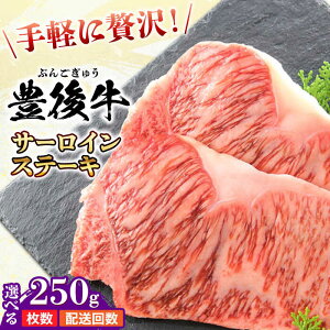 yӂ邳Ɣ[ŁzyIׂeʁE񐔁zL㋍ T[CXe[L 250g~1kg (250g/)    L㋍ јa T[C Xe[L Y SĂ Ⓚ a ~ 