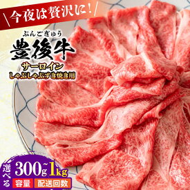 【ふるさと納税】【選べる容量・回数】厳選部位！おおいた豊後牛 サーロイン しゃぶしゃぶすき焼き用 300g~1kg おおいた 豊後牛 黒毛和牛 スライス しゃぶしゃぶすき焼き しゃぶしゃぶ すき焼き日田市 / 株式会社MEAT PLUS[AREI015-AREI018,AREI080-091]