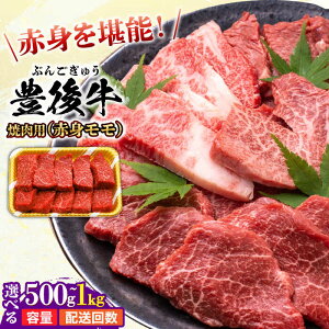 yӂ邳Ɣ[ŁzyIׂeʁE񐔁zL㋍ Ԑg ēp 500g/1kg  ɂ jN   L㋍  L㋍ јa Y Ⓚ a ~  Ԑg  