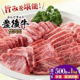 【ふるさと納税】【選べる容量・回数】おおいた豊後牛 焼肉用 500g/1kg おおいた豊後牛 豊後牛 黒毛和牛 国産 冷凍 和牛 霜降り 小分け 焼肉 焼肉用 バラ 肩ロース モモ カルビ 日田市 / 株式会社MEAT PLUS[AREI021-022,AREI098-103]
