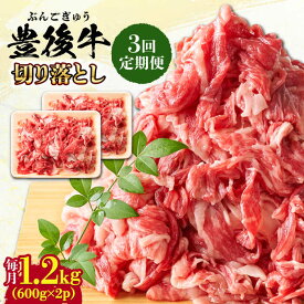 【ふるさと納税】【全3回定期便】【大容量パック！】 おおいた豊後牛 牛肉 切り落とし 1.2kg (600g×2) 日田市 / 株式会社MEAT PLUS　肉 牛肉 和牛[AREI047]