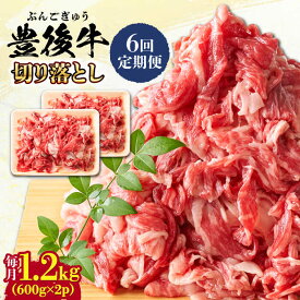 【ふるさと納税】【全6回定期便】【大容量パック！】 おおいた豊後牛 牛肉 切り落とし 1.2kg (600g×2) 日田市 / 株式会社MEAT PLUS　肉 牛肉 和牛[AREI048]
